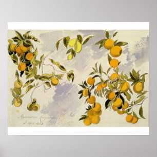 Póster Orange Trees, 1863 (w/c, pen and ink over graphite