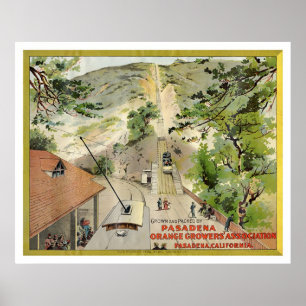 Póster Orange Vintage Label