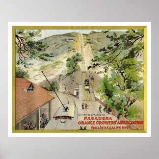 Póster Orange Vintage Label
