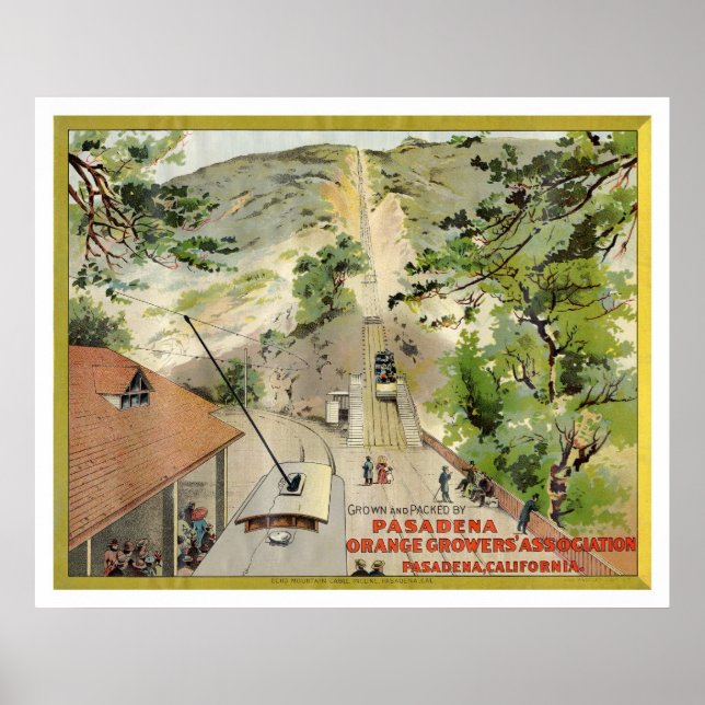 Póster Orange Vintage Label (Frente)