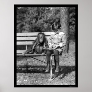 Póster Orangután y muchacho en el parque 1920