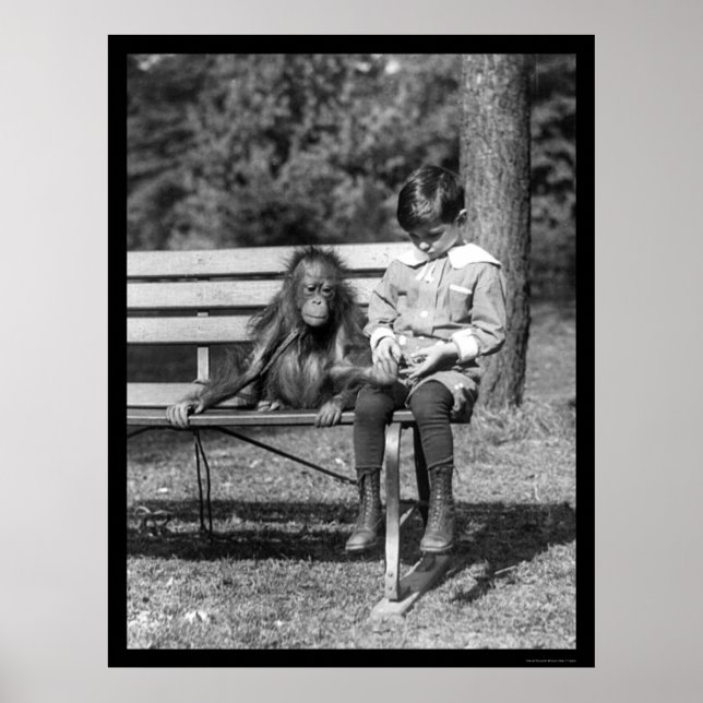 Póster Orangután y niño en el parque 1920 (Frente)