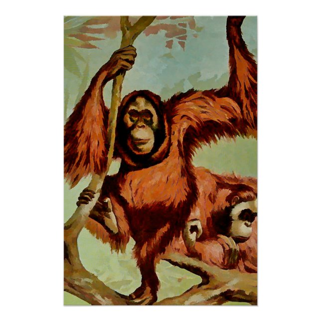 Póster Orangutanes vintage en un árbol - (Anverso)