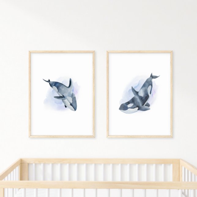 Póster Orca Ballena Asesina Acuarela Azul Blanco (Subido por el creador)