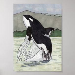Póster Orca/orca 5x7
