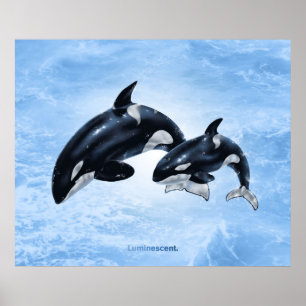Póster Orca - Poster