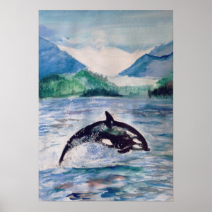 Póster Orca, poster del valor del dibujo de la acuarela