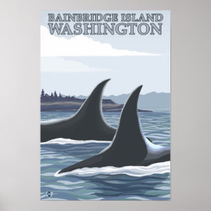 Póster Orca Whales #1 - Bainbridge Island, Washington