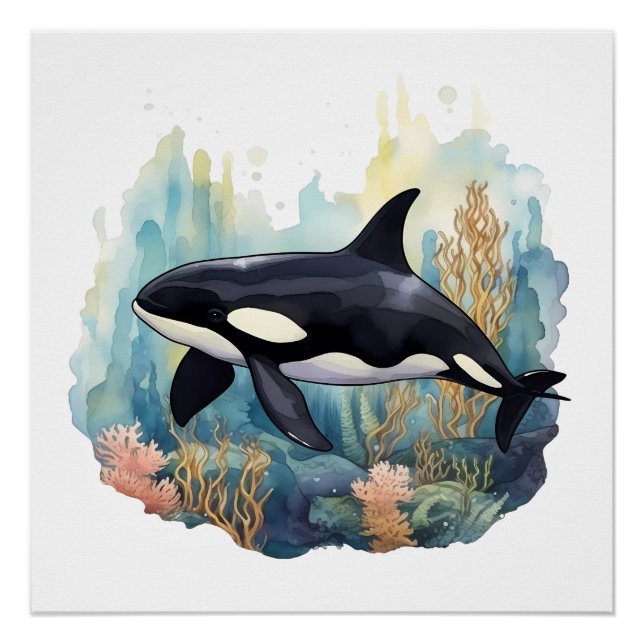 Póster Orca Y Coral (Anverso)