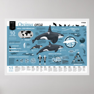 Póster orcagráfico - edición holandesa