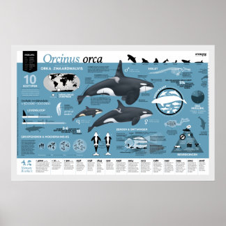 Póster orcagráfico - edición holandesa