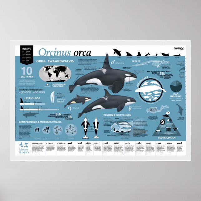 Póster orcagráfico - edición holandesa (Frente)