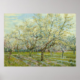 Póster Orchard blanco por Vincent Van Gogh