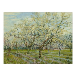 Póster Orchard blanco por Vincent Van Gogh