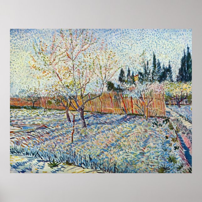 Póster Orchard con ciprés por Vincent van Gogh (Frente)