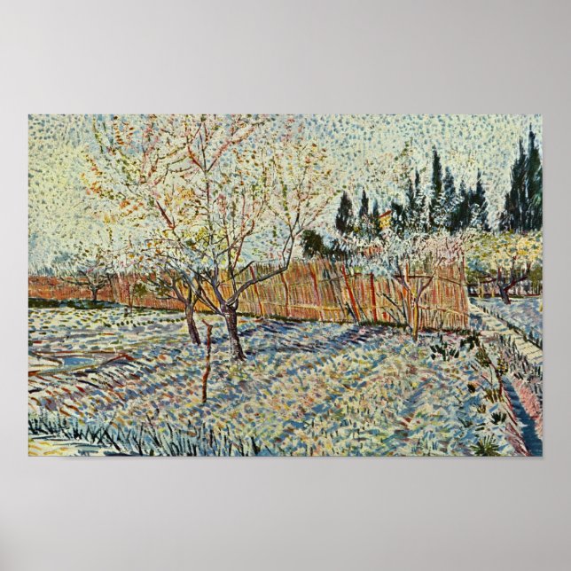 Póster Orchard Con Cypress De Vincent Van Gogh (Frente)