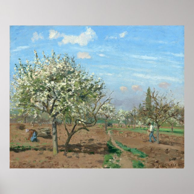 Póster Orchard en Bloom, Louveciennes Camille Pissarro (Frente)