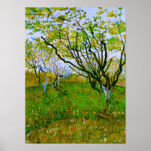 Póster Orchard en el Bella Artes Blossom Van Gogh