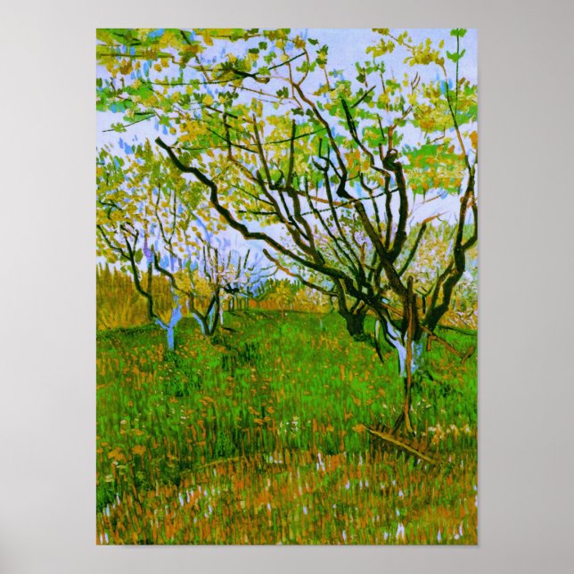 Póster Orchard en el Bella Artes Blossom Van Gogh (Frente)