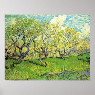 Póster Orchard en flor por Vincent van Gogh