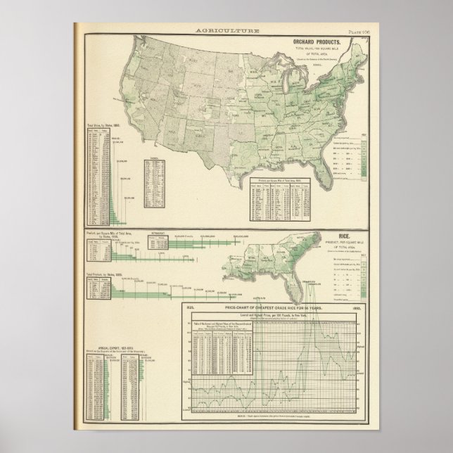 Póster Orchard products and rice (Frente)
