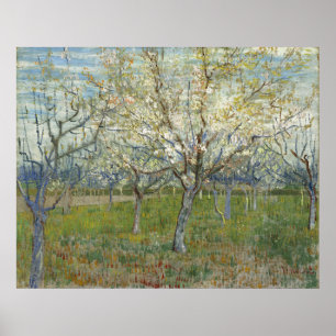 Póster Orchard rosa por Vincent Van Gogh