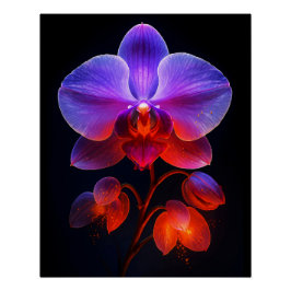 Póster Orchideen Blüte im Strahlendem Licht