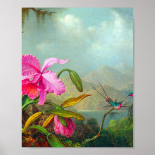 Póster Orchids and Hummingbirds by Martin Johnson Heade