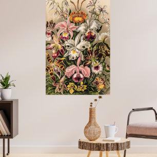 Póster Orchids by Ernst Haeckel