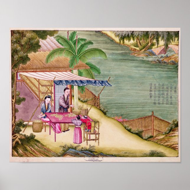 Póster Ordenar los capullos (Frente)