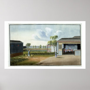 Póster Ordenar té (con c/c sobre papel)