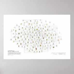 Póster Órdenes naturales de plantas - Likenesses