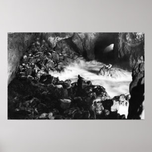 Póster Oregon Coast Sea Lion Caves Interior View
