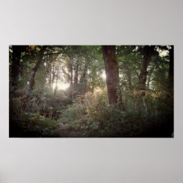 Póster Oregon Magic - Poster