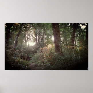 Póster Oregon Magic - Poster