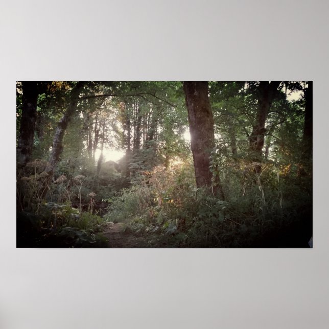 Póster Oregon Magic - Poster (Frente)