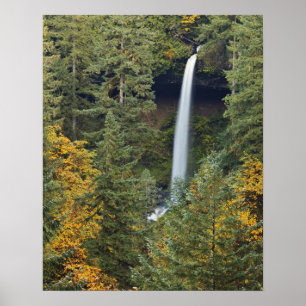 Póster Oregón, Parque Estatal Silver Falls, North Falls
