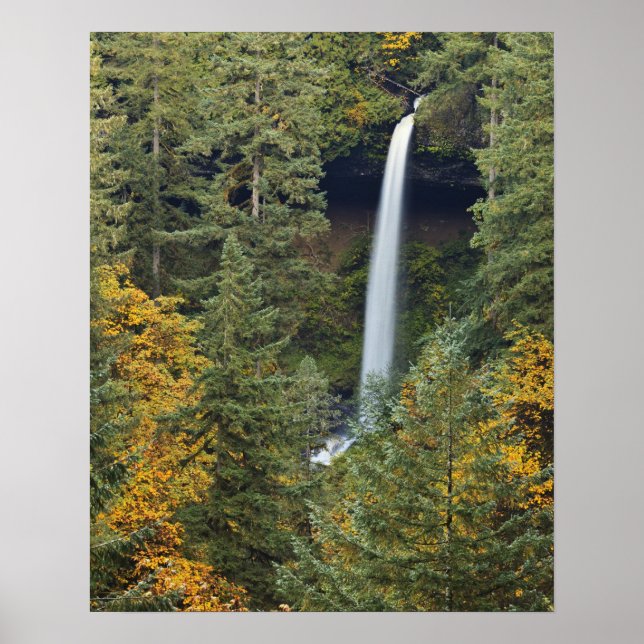 Póster Oregón, Parque Estatal Silver Falls, North Falls (Frente)