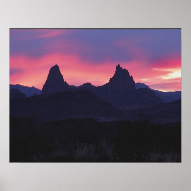 Póster Orejas de mula - Big Bend, Texas (Frente)