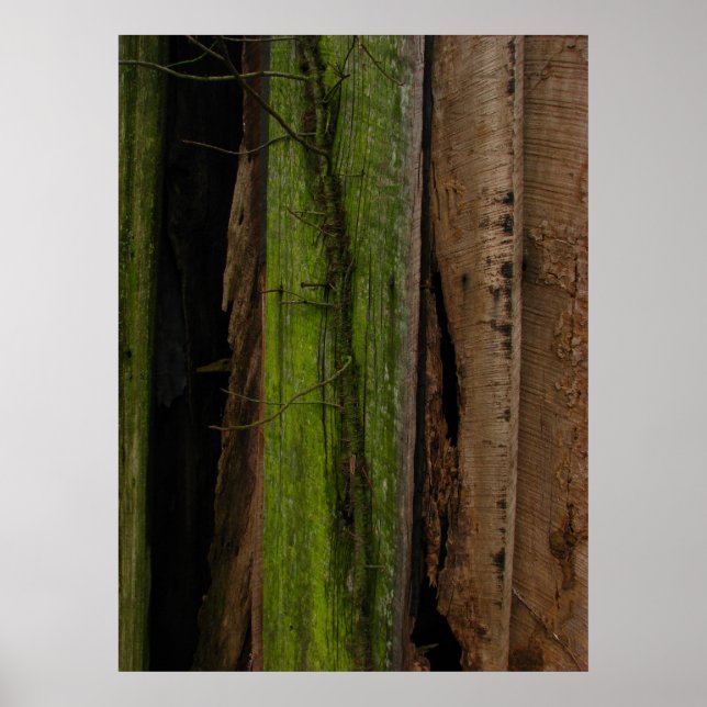 Póster Orgánico (Frente)