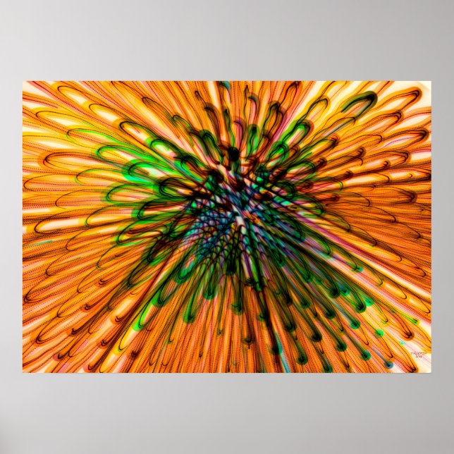 Póster Organismo del girasol (Frente)