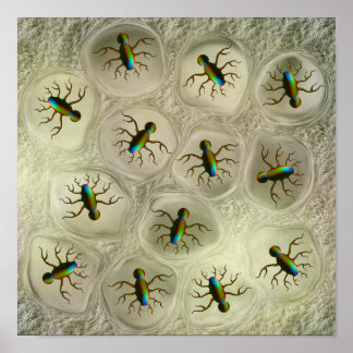 Póster Organismos microscópicos abstractos en matriz celu