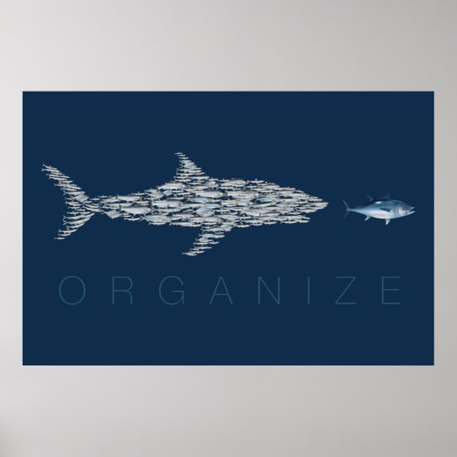 Póster Organizar peces (Frente)