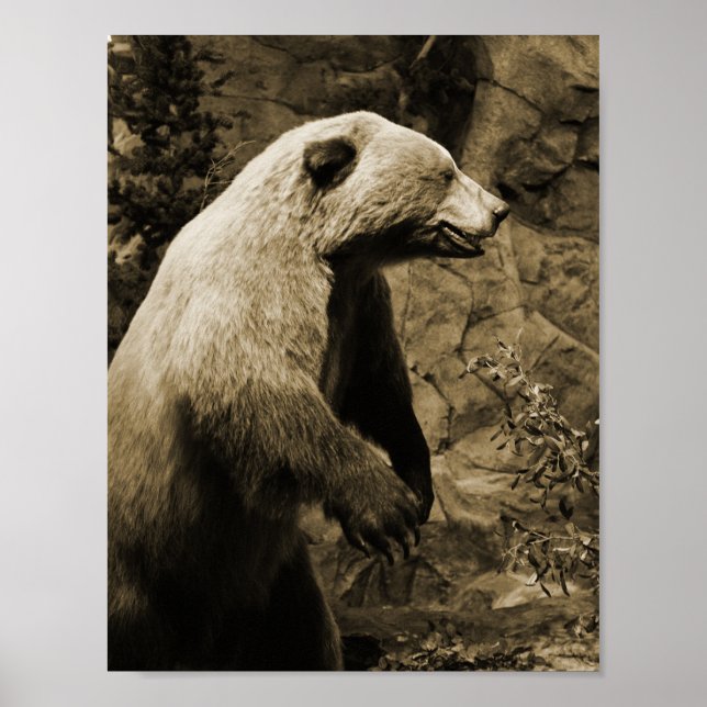 Póster Orgullo (Frente)