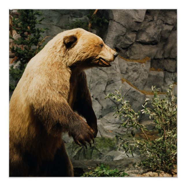 Póster Orgullo (Anverso)