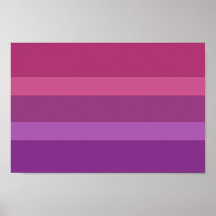 Póster Orgullo Aceflux
