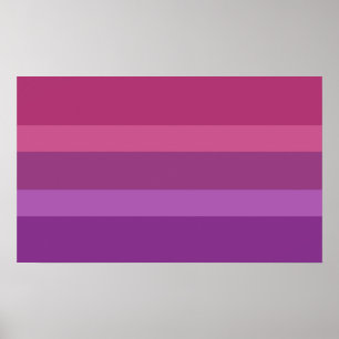 Póster Orgullo Aceflux