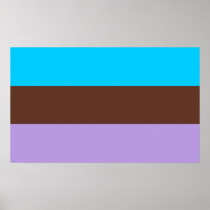 Póster Orgullo Androsexual
