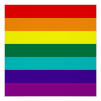 Orgullo arcoiris de 7 bandas