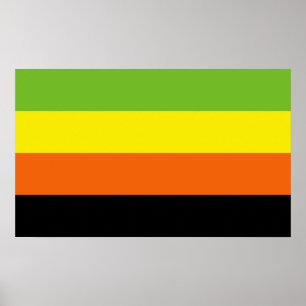 Póster Orgullo Aromántico